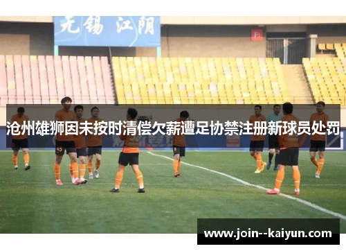 沧州雄狮因未按时清偿欠薪遭足协禁注册新球员处罚 沧州雄狮因未按时清偿欠薪遭足协禁注册新球员处罚