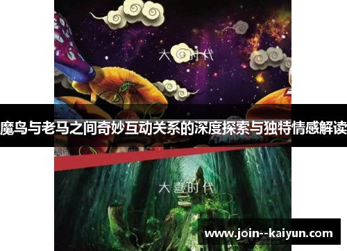 魔鸟与老马之间奇妙互动关系的深度探索与独特情感解读